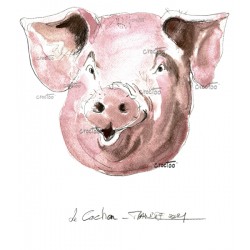 Cochon